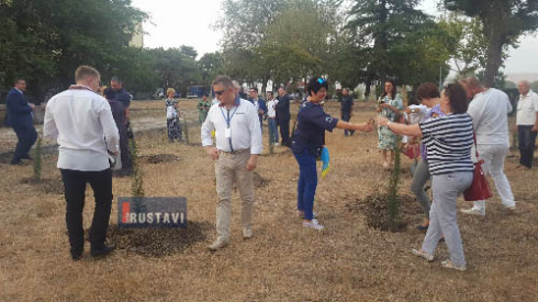 გამწვანების სიმბოლური აქცია