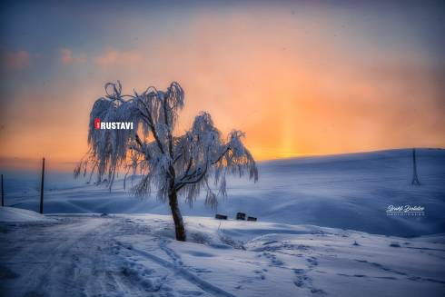 დათოვლილი იაღლუჯი და რუსთავი [photo]