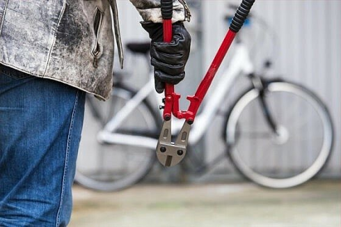 პოლონეთში ველოსიპედების ქურდობისთვის 21 წლის ქართველი დააკავეს