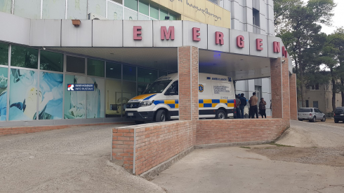 გასულ თვეში ცხოველთა ნაკბენის გამო რუსთავში 195 ადამიანი აიცრა