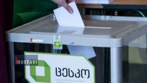 რა ჩააგდო მოქალაქემ საარჩევნო ყუთში