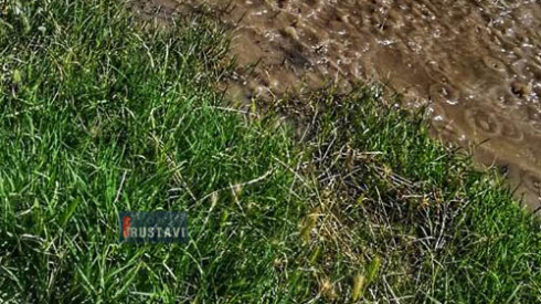 რა ხდებოდა XVII მიკრო-რაიონში [photo]