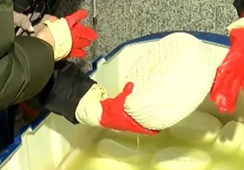 ყველის წარმოება სანიტარიულ-ჰიგიენური ნორმების დარღვევით