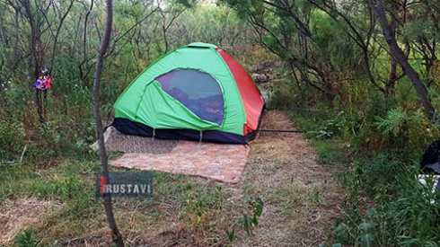 რუსთავის ტყეში ახალგაზრდა წყვილი ცხოვრობს [video]