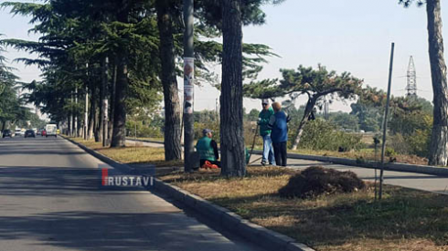 მწვანე ზოლი სუფთავდება