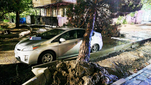 რუსთავში მანქანას ხე დაეცა [video]