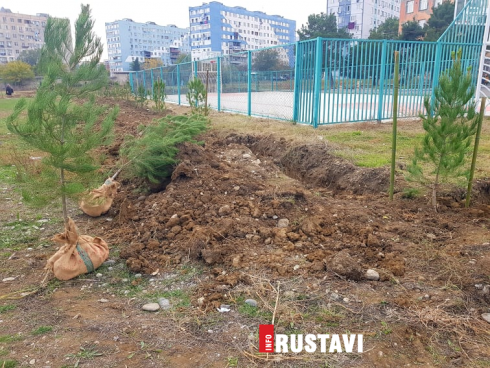 გამწვანების აქცია რუსთავში [photo]