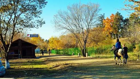 რუსთავის იპოდრომმა ფუნქციონირება დაიწყო