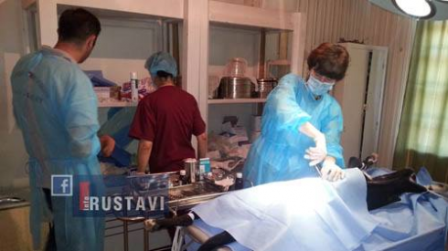 ცხოველისადმი სასტიკად მოპყრობისთვის შესაძლოა სასჯელი გამკაცრდეს