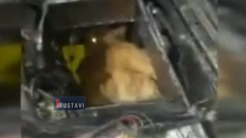 რა დამალეს ავტომობილის ძრავში [video]