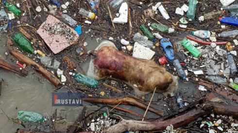 საგანგაშო მდგომარეობა [video]