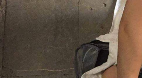 "ძილინებისა" სოფია [photo]