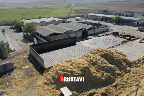 რუსთავში სოკოს საწარმო დახურეს