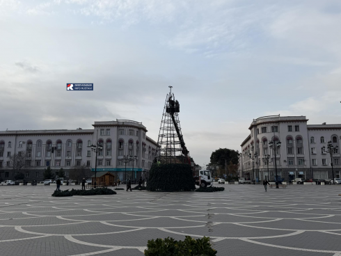 რუსთავში საახალწლო ნაძვის ხის აწყობა დაიწყო