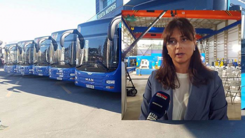 რა ეტაპზეა რუსთავი-თბილისის ავტობუსების პროექტი [video]