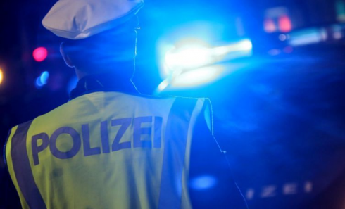 ავსტრიაში ქართველები დააკავეს