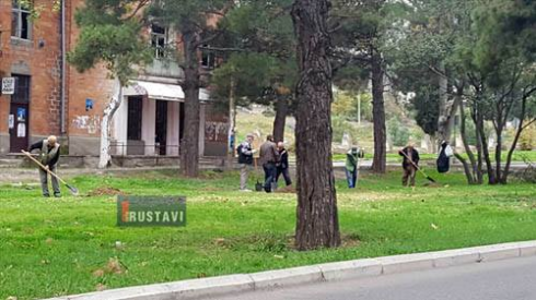 გამწვანების სამუშაობი ქალაქში