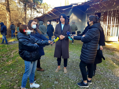 "ერთერთი მთავარი პრობლემა უპატრონო ძაღლების დიდი რაოდენობაა" [photo]