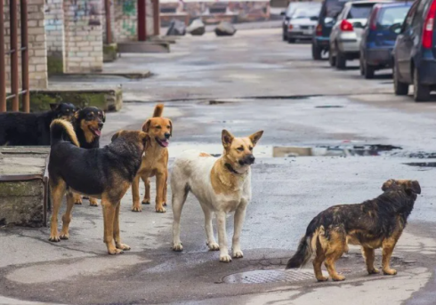 სიახლე რომელიც 1 იანვრიდან შევა ძალაში
