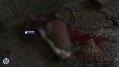 "დიდი გადასახადი მოვიდა, ამდენს არც ველოდი"