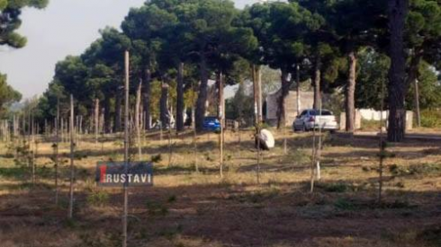 დასუფთავების სამუშაოები რუსთავში