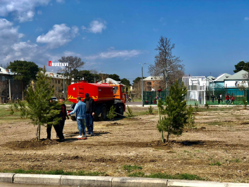 გამწვანების აქცია რუსთავში [photo]