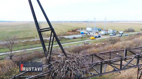 რა მდგომარეობაშია არწივის ბუდე (ვიდეო).