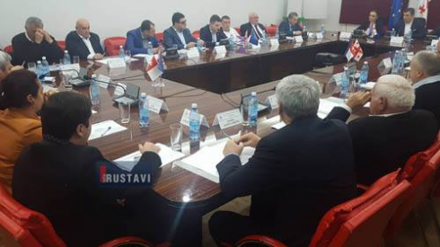 რამდენი ფრაქცია შეიქმნა