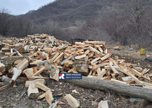 თებერვლის თვეში ქვემო ქართლში უკანონო ტყითსარგებლობის 10 ფაქტი გამოვლინდა