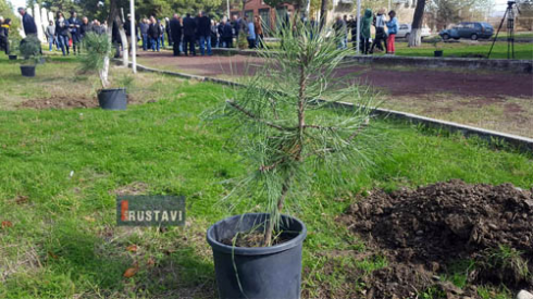 რუსთავში ვეტერანების დღე აღნიშნეს