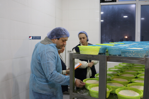 სეს-მა ყველის არალეგალური საწარმოები გამოავლინა