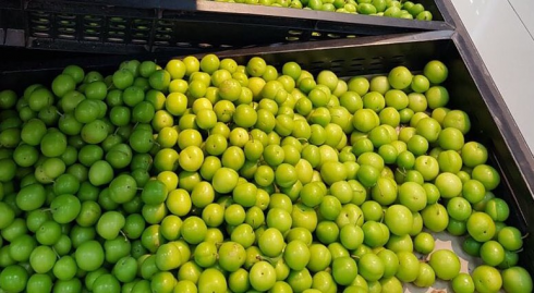 რა ღირს ალუჩა და მარწყვი რუსთავში