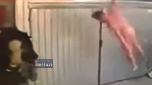 შიშველი დამნაშავე [VIDEO]