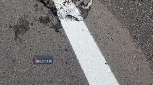 თეთრი ხაზი მკვდარ ცხოველს გადაატარეს (ფოტო)