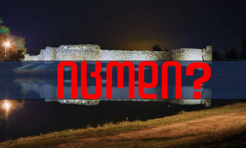 იცოდი? - რომ რუსთავში ასწლოვანი ველური ვაზია აღმოჩენილი