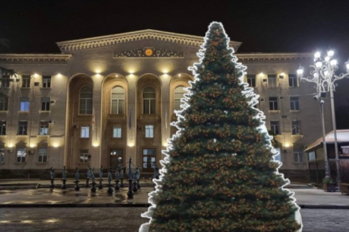 რუსთავის მერია საახალწლოდ ახალ ნაძვის ხეს ყიდულობს