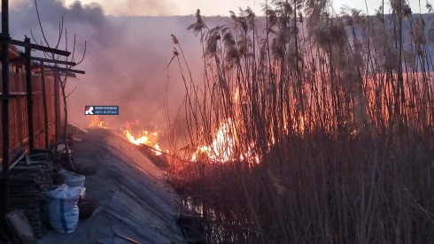 რუსთავი-თბილისის მაგისტრალთან ხანძარია [video]