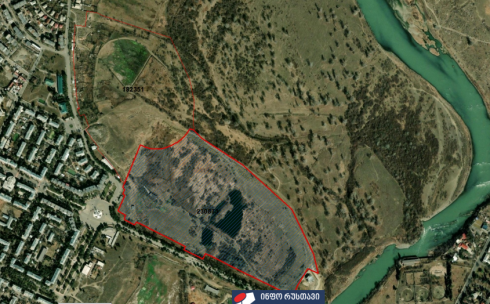 რუსთავში ტყე-ჭალის ტერიტორიაზე პარკი მოეწყობა