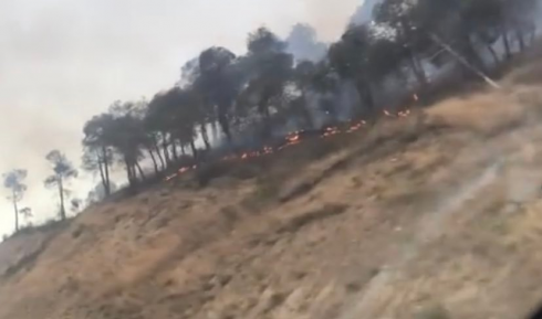 ხანძარი რუსთავი-თბილისის ავტობანთან