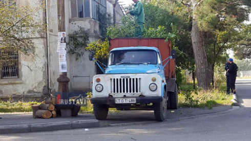 ქუჩებში ხეების გადაბელვა მიმდინარეობს