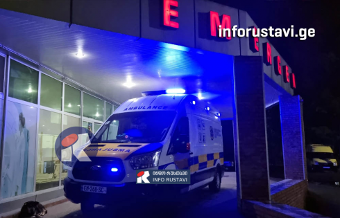 ცხოველების მიერ ადამიანების დაკბენა-დაკაწვრა-დადორბვლის 245 შემთხვევა რუსთავში