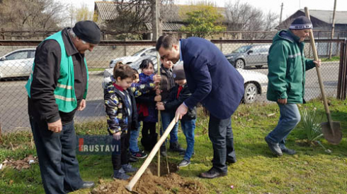 ხის დარგვა სიმღერის ფონზე [video]
