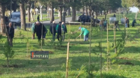 გამწვანების აქცია რუსთავში (ფოტო)