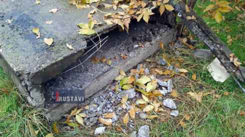 ძაღლი ბეტონის ფილებში გაიჭედა (ვიდეო)