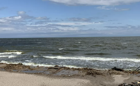 „ზღვა ნაგავსაყრელად და ცხოველთა სასაფლაოდ არის ქცეული“