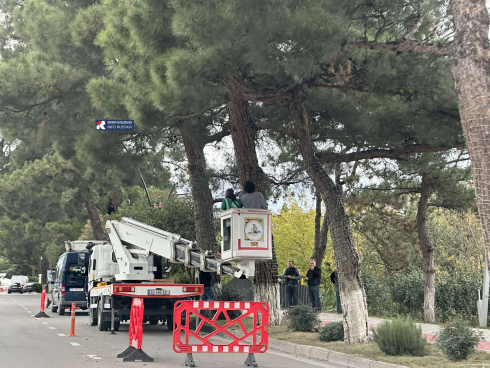 რუსთავში საახალწლო განათებების მონტაჟი დაიწყო