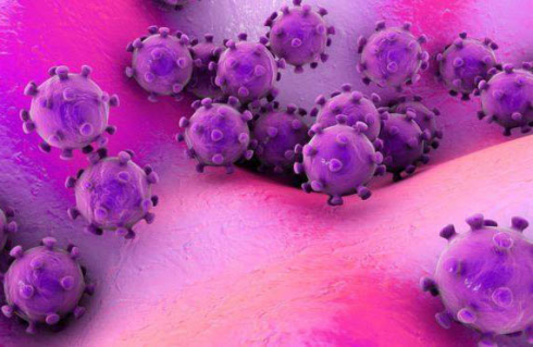 ვირუსის ახალი სახეობა დაფიქსირდა