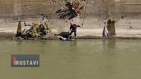 მამაკაცი მტკვარში ჩავარდა