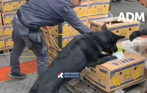 საქართველოს გავლით 2 700 კილოგრამი კოკაინის გაგზავნას გეგმავდნენ