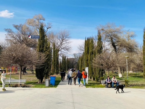 რუსთავში რამდენიმე პარკში კვების ობიექტები განთავსდება